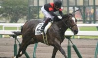 【中京5R新馬戦結果】メリトクラシーが逃げ切りV　シルバーステート産駒初勝利