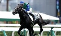 【札幌5R新馬戦結果】トーセンサンダーが押し切りレコードV