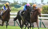 ダートGIIIユニコーンSとハンデGIIIマーメイドS/今週の競馬界の見どころ