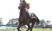【マーメイドS予想】穴党のための重賞到来！毎年荒れる超難解レースでAIの指名激走馬は格上挑戦の超人気薄/JRA重賞レース展望