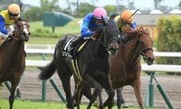 【マーメイドS予想オッズ】ソフトフルートが単勝3.7倍で予想1番人気に