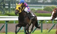 【阪神11R・米子S】重馬場巧者キョウヘイが出走取消