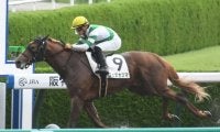 【阪神5R新馬戦結果】フェズカズマが人気に応えて快勝