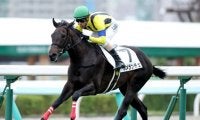 【札幌5R新馬戦結果】ポメランチェがレコードで圧勝