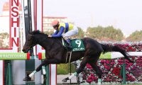 エアウィンザーが競走馬登録抹消