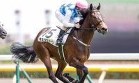 【東京5R新馬戦結果】2番人気キミワクイーンが初陣飾る