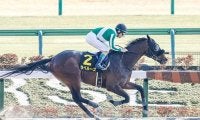 【ユニコーンS・馬体重】ラペルーズは518kg(-2)、ルーチェドーロは500kg(+6)
