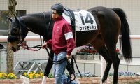 【JRA】阪神12Rで競走除外のウンダモシタンは急性心不全のため死亡