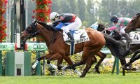 【札幌1R】ミトグラフィアがゴール寸前で差し切る