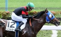 【東京7R】石橋脩「本当に強い競馬」ルコルセールが2連勝