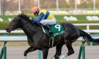 【先週のJRA抹消馬】チャレンジC覇者のエアウィンザー、ダイヤモンドS覇者のグロンディオーズなど