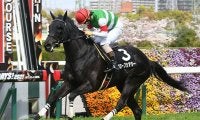 【東京ジャンプS予想オッズ】単勝1.7倍でグローブシアターに支持が集まる
