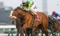 【JRA】サトノフラッグが全治6ヶ月以上の骨折、昨年の弥生賞ディープインパクト記念覇者
