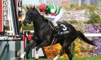 【東京ジャンプS出走馬・騎手確定】グローブシアター＆高田潤、スマートアペックス＆中村将之など14頭