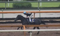 【宝塚記念 調教後馬体重】クロノジェネシスは482kg、レイパパレは442kg