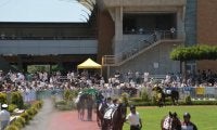 【JRA】夏季競馬において装鞍所集合時刻を一部変更