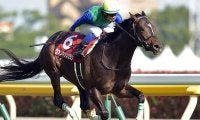 新種牡馬ヴァンキッシュラン産駒がJRA初出走　キタサンブラック、イスラボニータ産駒などもJRA初勝利目指す