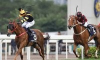 【海外競馬】香港のタイムワープとグロリアスフォーエバーが引退　全兄弟でともに香港C制覇