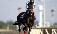 【海外競馬】シーキングザダイヤ産駒がチリで2歳牝馬G1制覇/アルトゥロ・ライオン・ペーニャ賞結果