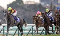 【WIN5予想】宝塚記念は前年の有馬記念で善戦した馬が堅実