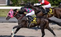 【大沼S結果】ダンツキャッスルが直線一気で2連勝