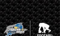 島根スサノオマジックが「EGOZARU」とオフィシャルサプライヤー契約を継続