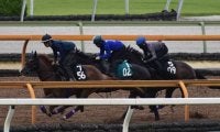 ラッキーモー半弟フィデルが川田将雅騎手でデビュー/関西馬メイクデビュー情報