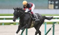 コパノリッキーやキタサンブラックにシルバーステート…早くも活躍を見せる新種牡馬の産駒たち