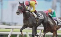 【大井4R・2歳新馬】“リアルダビスタ”夢の第一歩、クールフォルテが初陣飾る/地方競馬レース結果