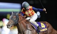 【帝王賞回顧】急成長の4歳馬テーオーケインズが一気に頂点へ/斎藤修