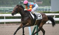【小倉5R新馬戦結果】シュンメキラリが人気に応えて快勝