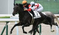 【小倉5R新馬戦結果】良血フィデルが単勝1.1倍の圧倒的人気に応えてV