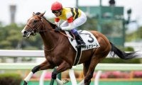 【函館5R新馬戦結果】アルナシームが突き抜け快勝