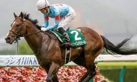 条件付きも「3000mは守備範囲」　スタミナ型のキングカメハメハ産駒・ヴァイスメテオール
