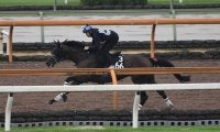 【大井・JDD】選定馬更新 JRA所属全出走馬の騎乗予定騎手決定