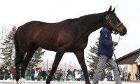 【セレクトセール2021注目馬】近年のトレンド配合から誕生したディープインパクト牝駒