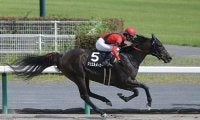 【セレクトセール2021注目馬】初の大台超えなるか？ 新ひだか町産ディープインパクトの牝馬