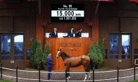 【セレクトセール2021】新種牡馬サトノダイヤモンド産駒が1億5000万円で落札　ティッカーコードの2020