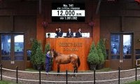 【セレクトセール2021】アドマイヤビルゴの半弟が1億2000万円で落札！ 落札者はサイバー藤田晋氏