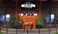 【セレクトセール2021】6億円ホースの半弟を藤田晋氏が落札
