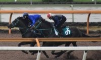 ベルラップ全弟グーデンドラークが松山弘平騎手でデビュー/関西馬メイクデビュー情報
