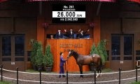 【セレクトセール2021】シルバーステート産駒が2億6000万円で落札