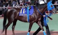 最大目標は東京大賞典！ 一線級を舞台にして輝き続ける9歳馬・ノンコノユメ