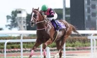 【門別競馬情報】オヤコダカ、スーパーステションに続く「2連覇」なるかクインズプルート。先行馬そろいスマートアヴァロンら差し馬勢の台頭注目「第18回星雲賞H3」/地方競馬情報