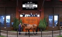 【セレクトセール2021】米3冠馬の産駒が1億5000万円で落札！ スウィッチインタイムの2021
