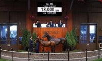 【セレクトセール2021】ブラックスピネル半弟が1億8000万円で落札！ 17年ダービー馬レイデオロの初年度産駒