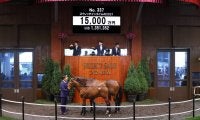 【セレクトセール2021】American Pharoah産駒が1億5000万円