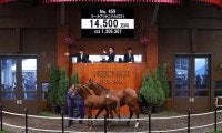 【セレクトセール2021】新種牡馬レイデオロ産駒が1億4500万円で落札！  おばに15年2冠牝馬ミッキークイーン