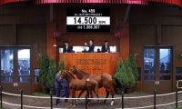 【セレクトセール2021】レイデオロ産駒が1億4500万円で落札