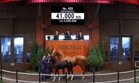 【セレクトセール2021】当歳馬セリも好調！史上最高の売上げを記録